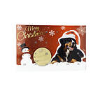 Treateaters Christmas Calendar Mini Treats Hund