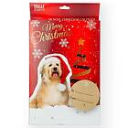 Treateaters Christmas Calendar Munchy Hund