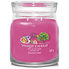 Yankee Candle Art In The Park Medium Jar 2 Wick Scented Candle 368g