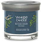 Yankee Candle Mini Tumbler Bougies Parfumées Bayside Cedar