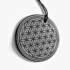 Kristallpunkten Shungit amulett Flower of Life 5cm