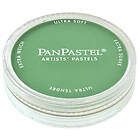 PanPastel Soft Pastel Pans 640,5 Permanent Green