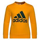 Adidas Sweatshirt Big Logo (Herre)