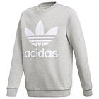 Adidas Originals Sweatshirt Trefoil (Jr)