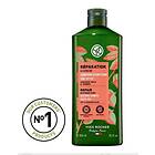 Yves Rocher Haircare Botanical Solutions Schampo torrt & skadat hår 300ml