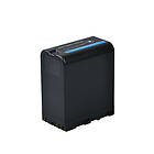 Sony Bp-u100 Battery