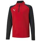 Puma Teamliga Quarter-zip Youth Football Top (Jr)