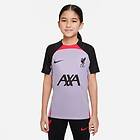 Nike Liverpool Tränings T-Shirt Dri-FIT Strike (Jr)