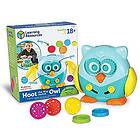 Learning Resources LER9045 Hoot The Fine Motor Owl