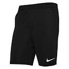 Nike Shorts Dri-fit Park 20 (Men's)
