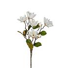 Fröken Fräken Konstväxt Magnolia Vit Kvist 3669-10