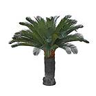 Fröken Fräken Konstväxt Cycas Palm 7393-130