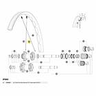 Mavic Kit 14 Rear Drive Side Edeemax S 29´´ Spokes Durchsichtig 304 mm