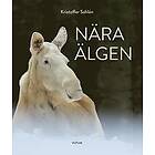 Kristoffer Sahlén: Nära älgen