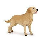 Hund Labrador Papo