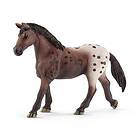 Appaloosa Sto Schleich