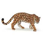 Jaguar Papo