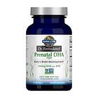 Garden of Life Dr. Formulated Vegan Prenatal DHA 30k