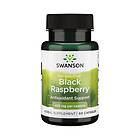 Swanson Full Spectrum Black Raspberry 425mg 60k