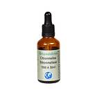 Örtspecialisten Citronmeliss 1000A 50ml