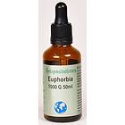 Örtspecialisten Euphorbia 1000G 50ml