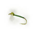 High Quality Flies Quill Spent Olive 12