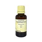 Crearome Sojaprotein 30ml