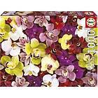 Educa Puzzle Orchid 1000 bitar