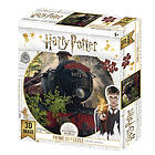 Harry Potter Hogwarts Express 3D Puzzle 500 bitar