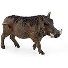 Schleich Wild Life Warthog 14843