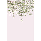 Sian Zeng Clematis Mural Wallpaper Pink ClemP