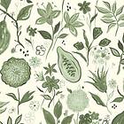 Wear the Walls Kakao Matcha KAMG807652