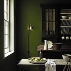 Little Greene Jewel Beetle 303
