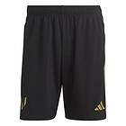 Adidas Shorts X Messi (Herr)