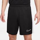 Nike Shorts Dri-fit Academy 23 (Miesten)