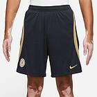 Nike Chelsea Shorts Dri-fit Strike (Men's)