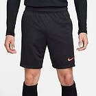 Nike Shorts Dri-FIT Academy (Herre)