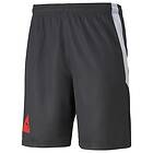 Puma FUßBALL PARK Shorts (Herr)