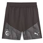 Puma Dortmund Shorts (Herr)