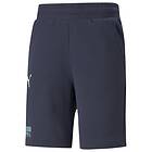 Puma Shorts FUßBALL (Herre)