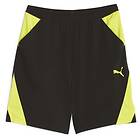 Puma Ultrabreathe 7'' Woven Training Shorts (Herr)