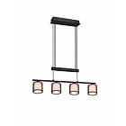 Trio Lighting Burton