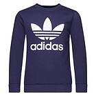 Adidas Originals Sweatshirt Crewneck Adicolor Classics Trefoil (Jr)