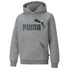 Puma Luvtröja Essentials Big Logo (Jr)