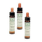 Dr. Bach Klematis Engholm 10ml