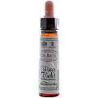 Dr. Bach Vannblink Engholm 10ml