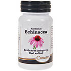 Camette Echinacea 90 Tablets