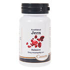 Camette Jern Balance 100 Tablets