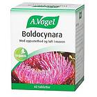 A.Vogel Boldocynara 60 Tablets