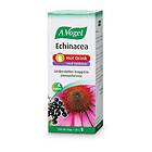 A.Vogel Echinacea Hot Drink 100ml